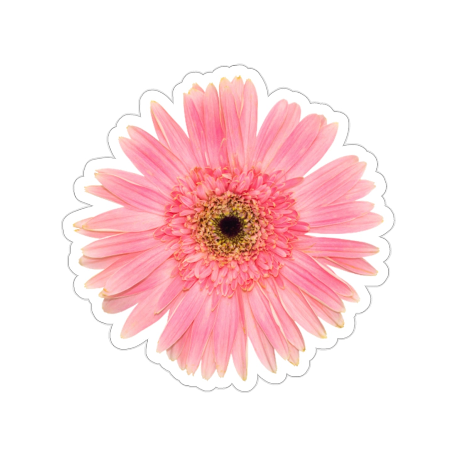 Daisy Kiss-Cut Stickers