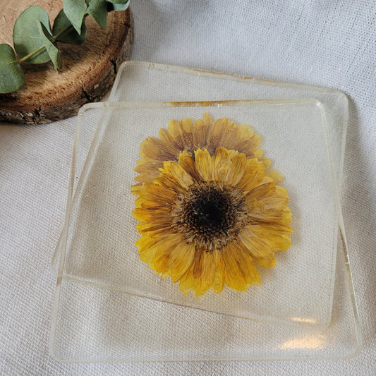 Pressed Flower Coaster Set