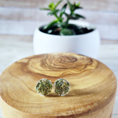 Dried Leaf Stud Earrings